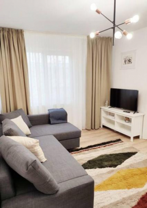 1 bedroom apartment Iasi